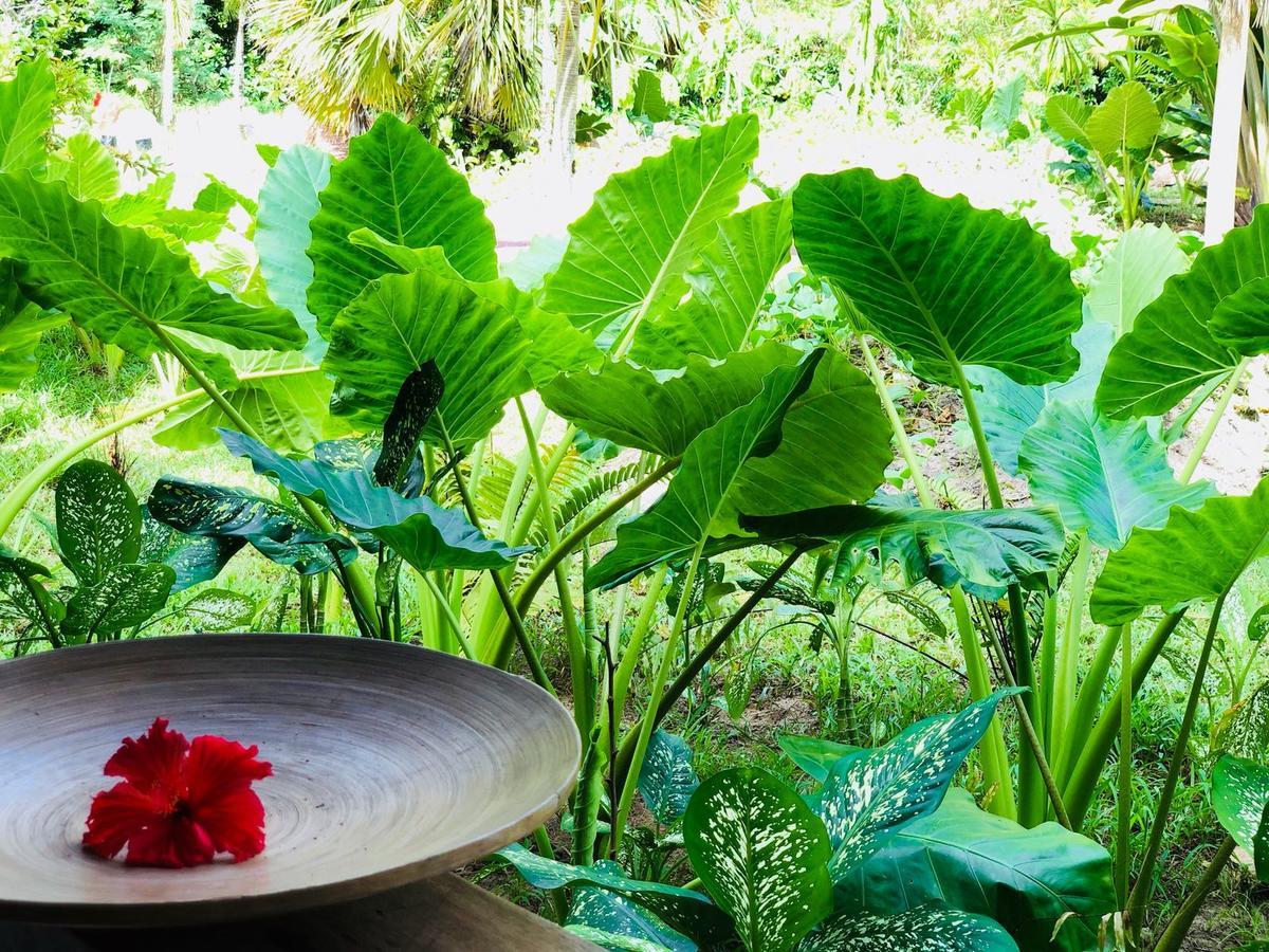 Bliss Hotel Praslin Гранд-Анс Экстерьер фото